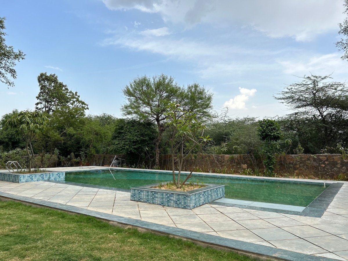 Insta Cute Farm with Pool & Greenery near Gurgaon