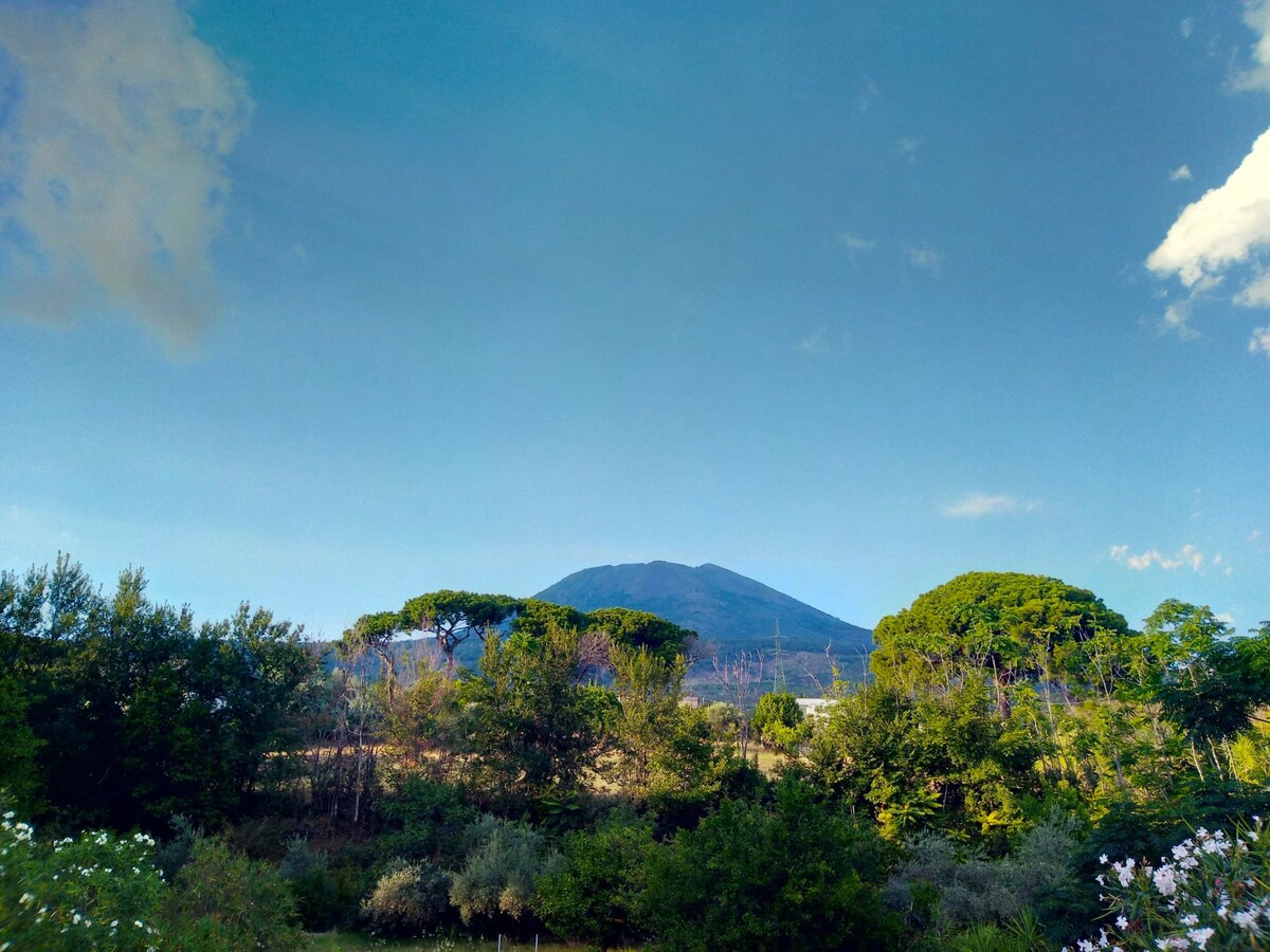 Brandito's camp Vesuvio e Mare