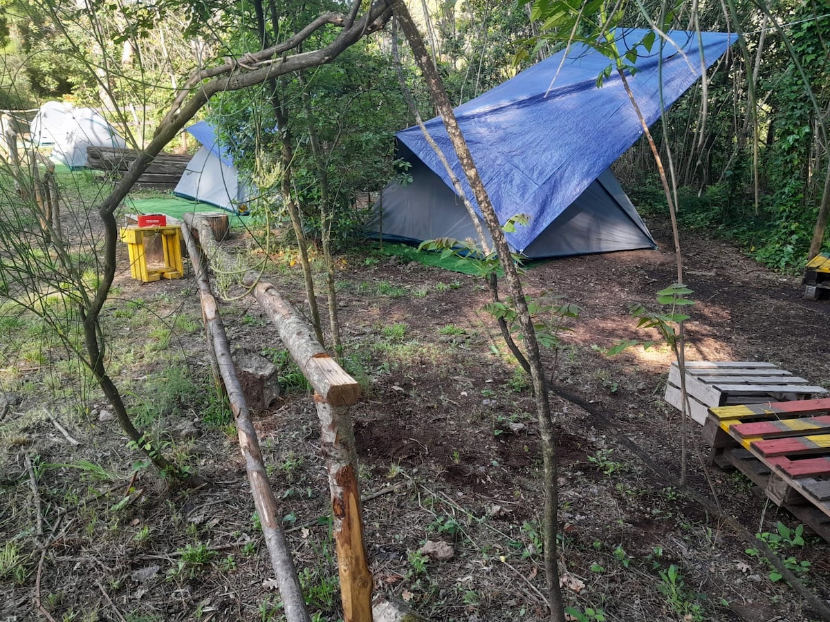 Brandito's camp Vesuvio e Mare