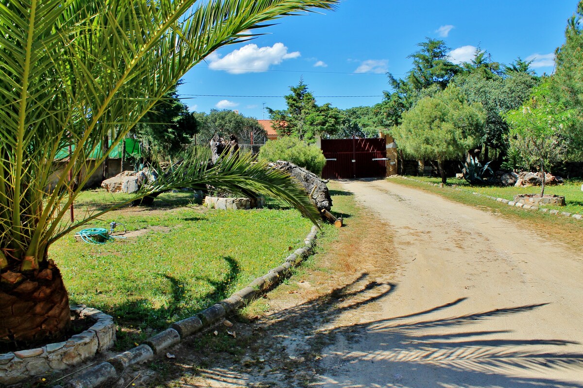 El Pino (Gran chalet de uso exclusivo)