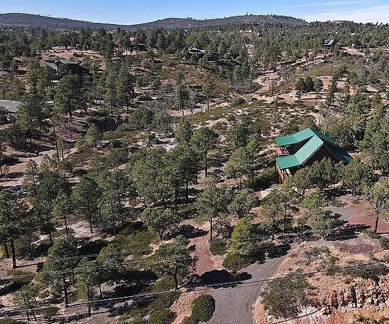 Cabin - Shiny Bottom Monkey Ranch