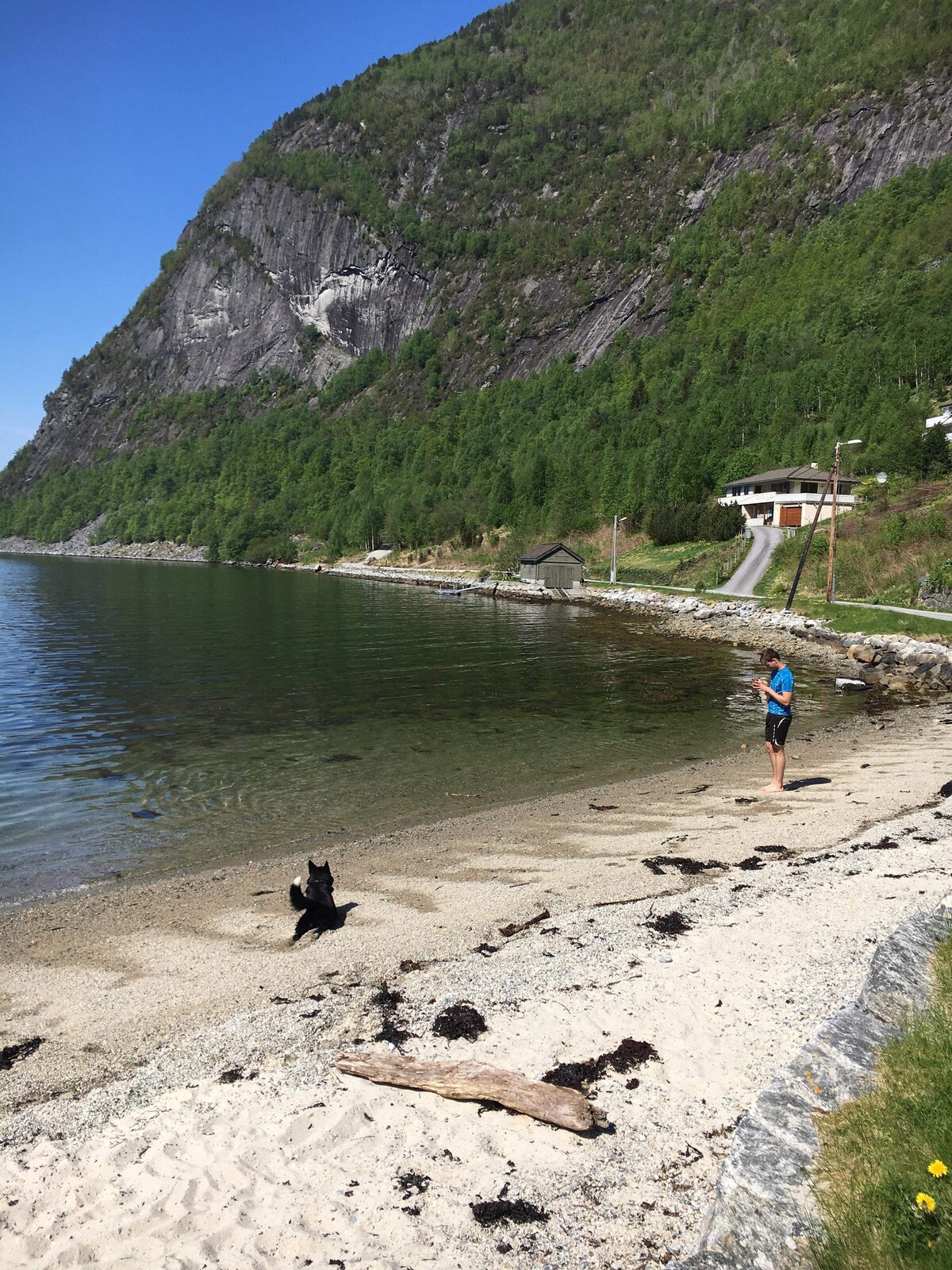 Sognefjorden独立海岸线的房源