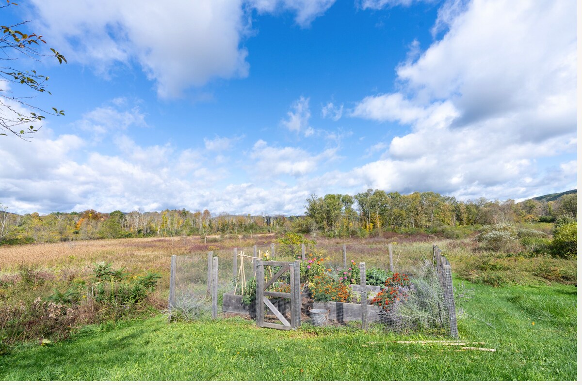 Three Corner Farm