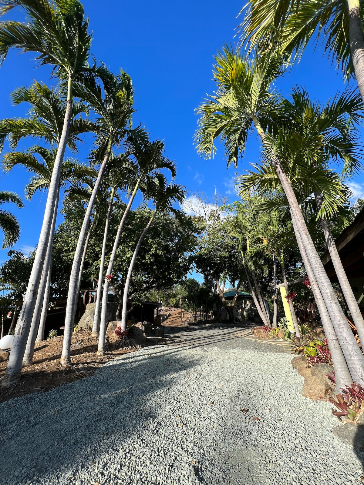 Nature's Peaceful Estate, 4 Villa w/ Private Pool