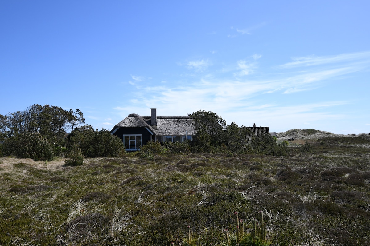 Idyllisk sommerhus i Hvide Sande med vildmarksbad