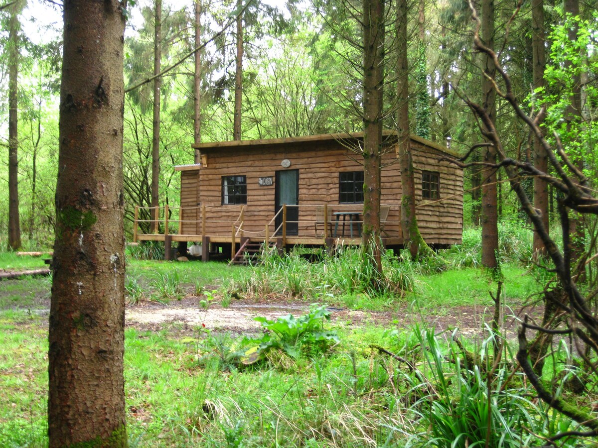 Off-Grid Cosy Cabin in private woodland Sherborne