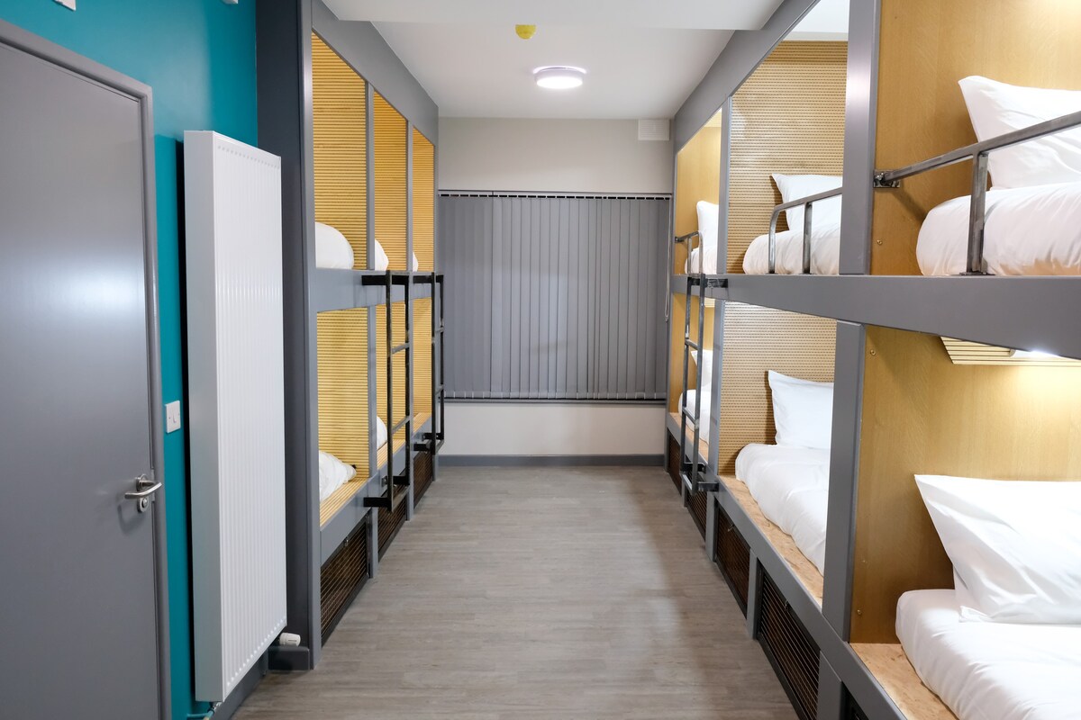 Cwtsh旅舍-位于12张床的女生宿舍中的吊舱