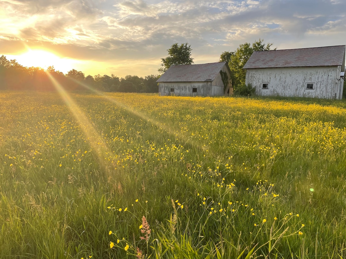 Historic farm on Berlin Lake