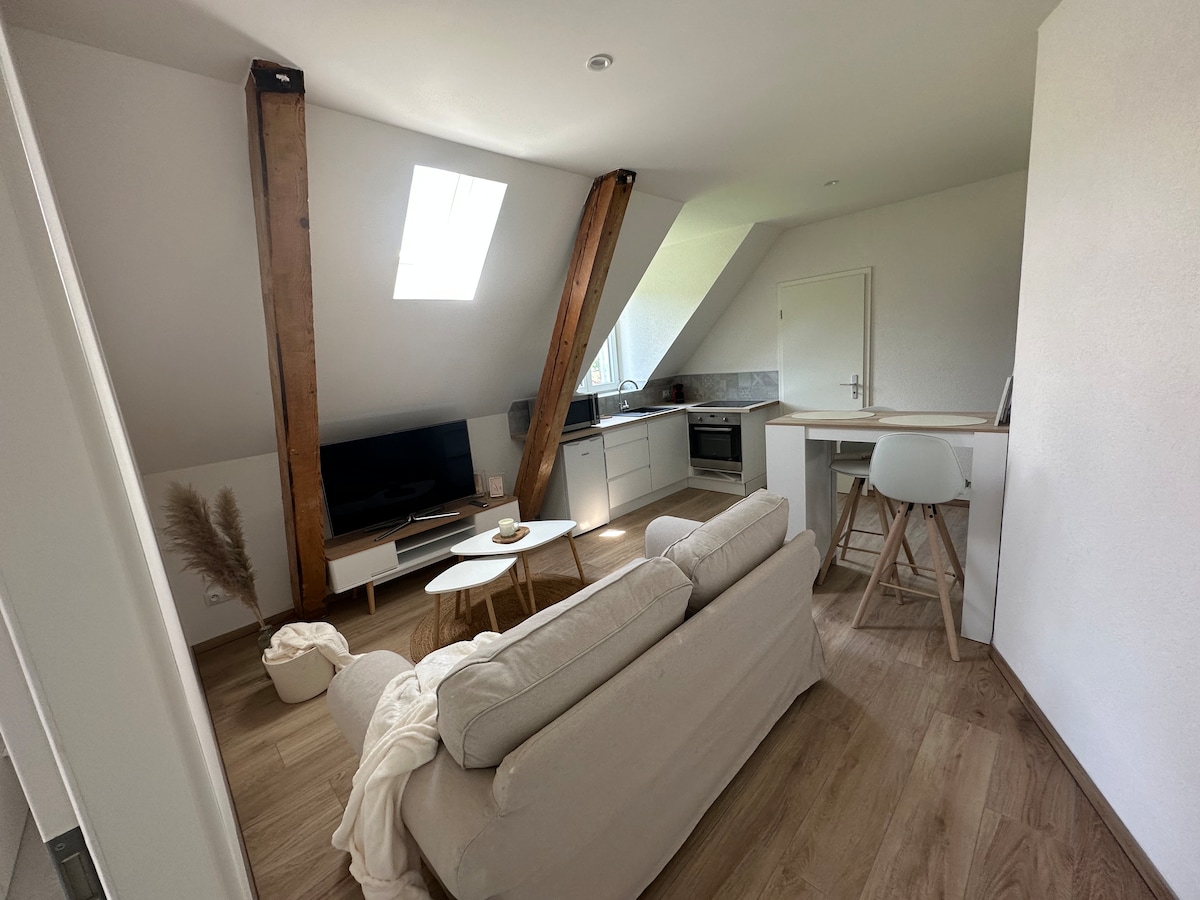 Bel appartement proche frontière Suisse