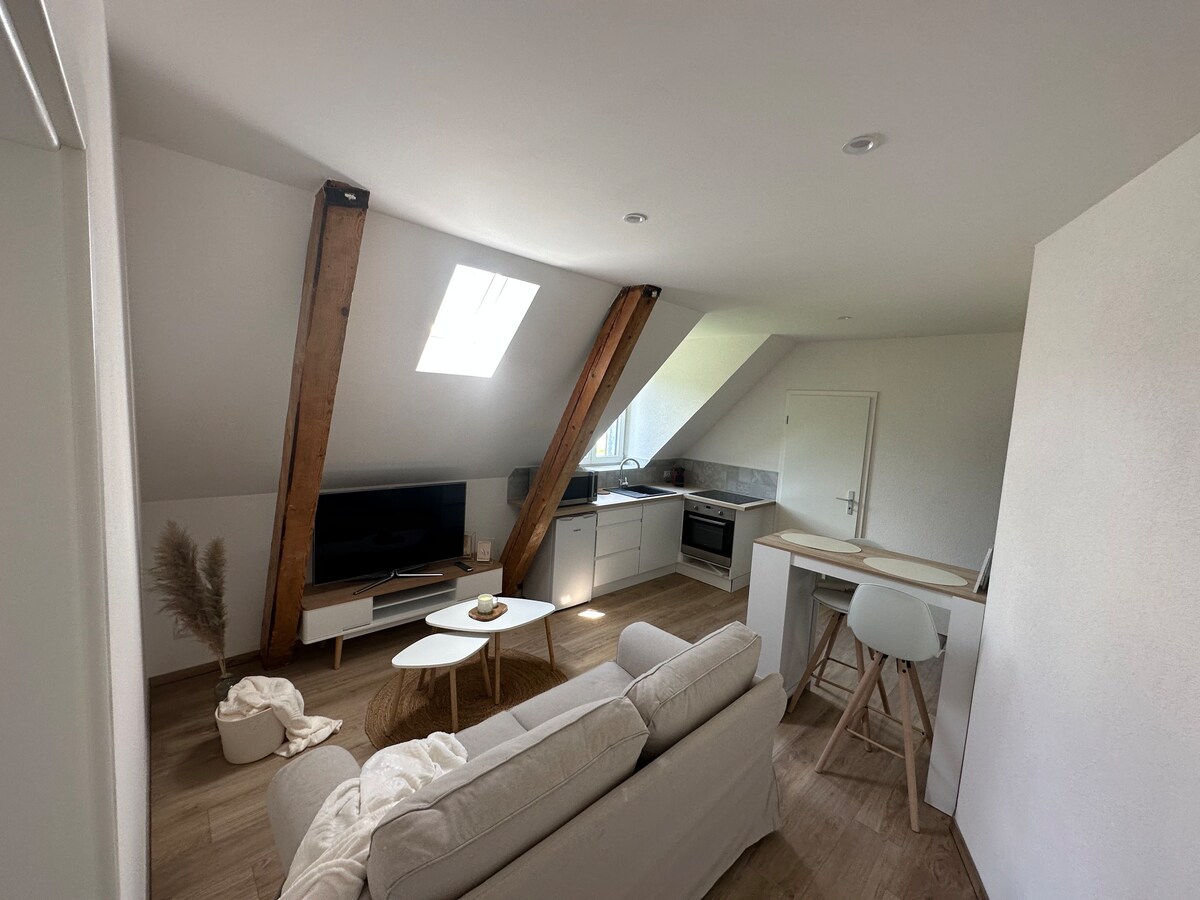 Bel appartement proche frontière Suisse