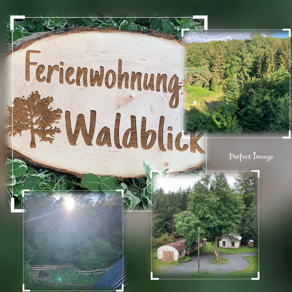 Ferienwohnung „Waldblick“