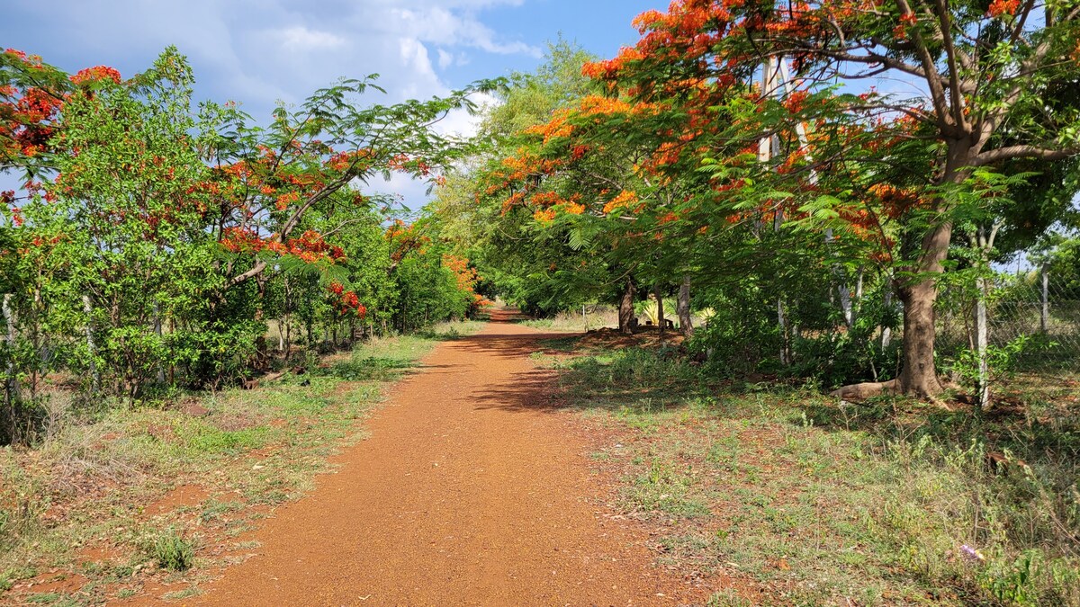 The Orange Cabin @ Manneguda