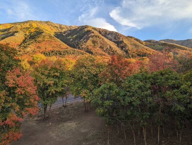 伍德兰山 （Woodland Hills）的民宿