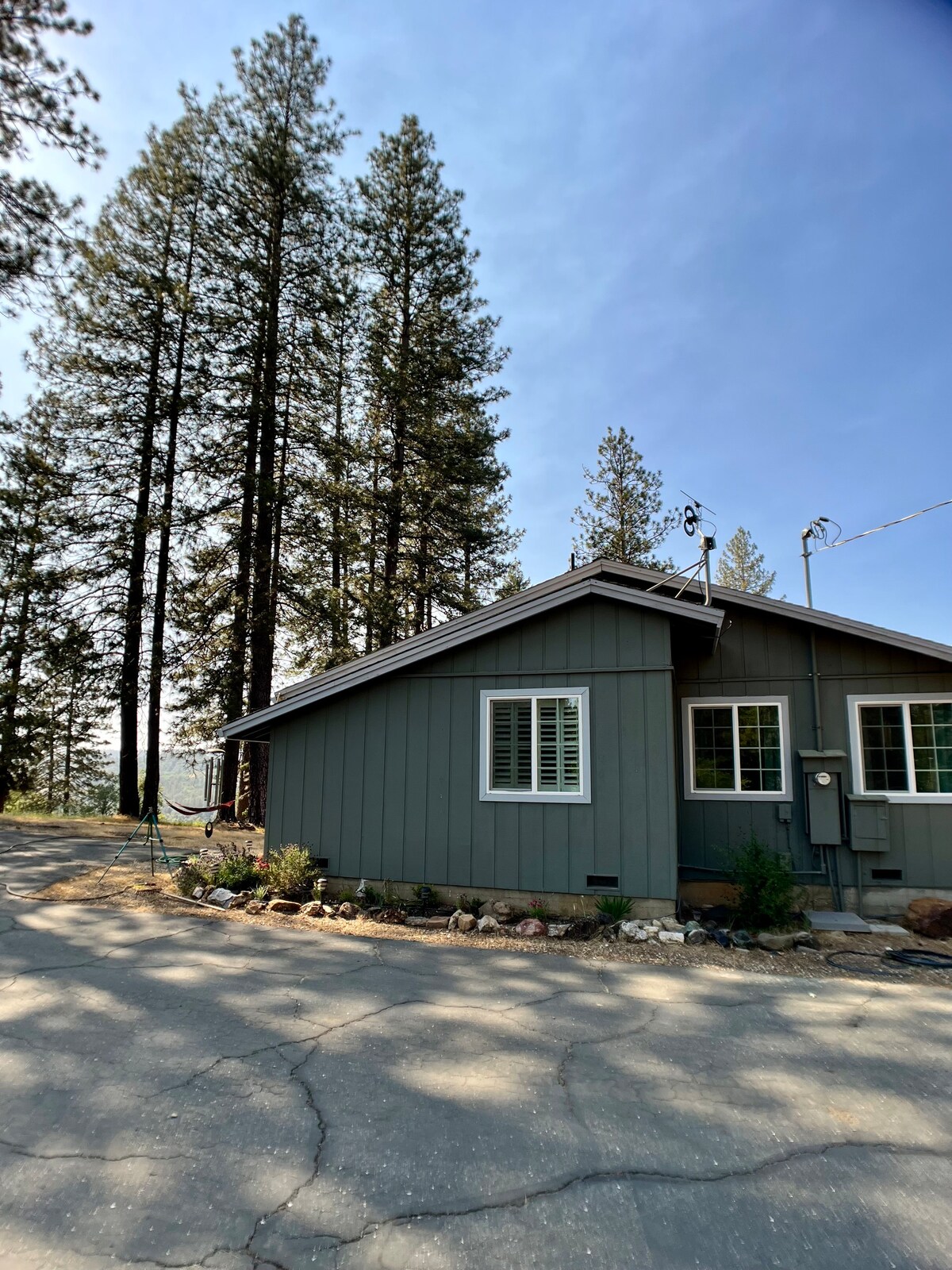 Sugar Pine House