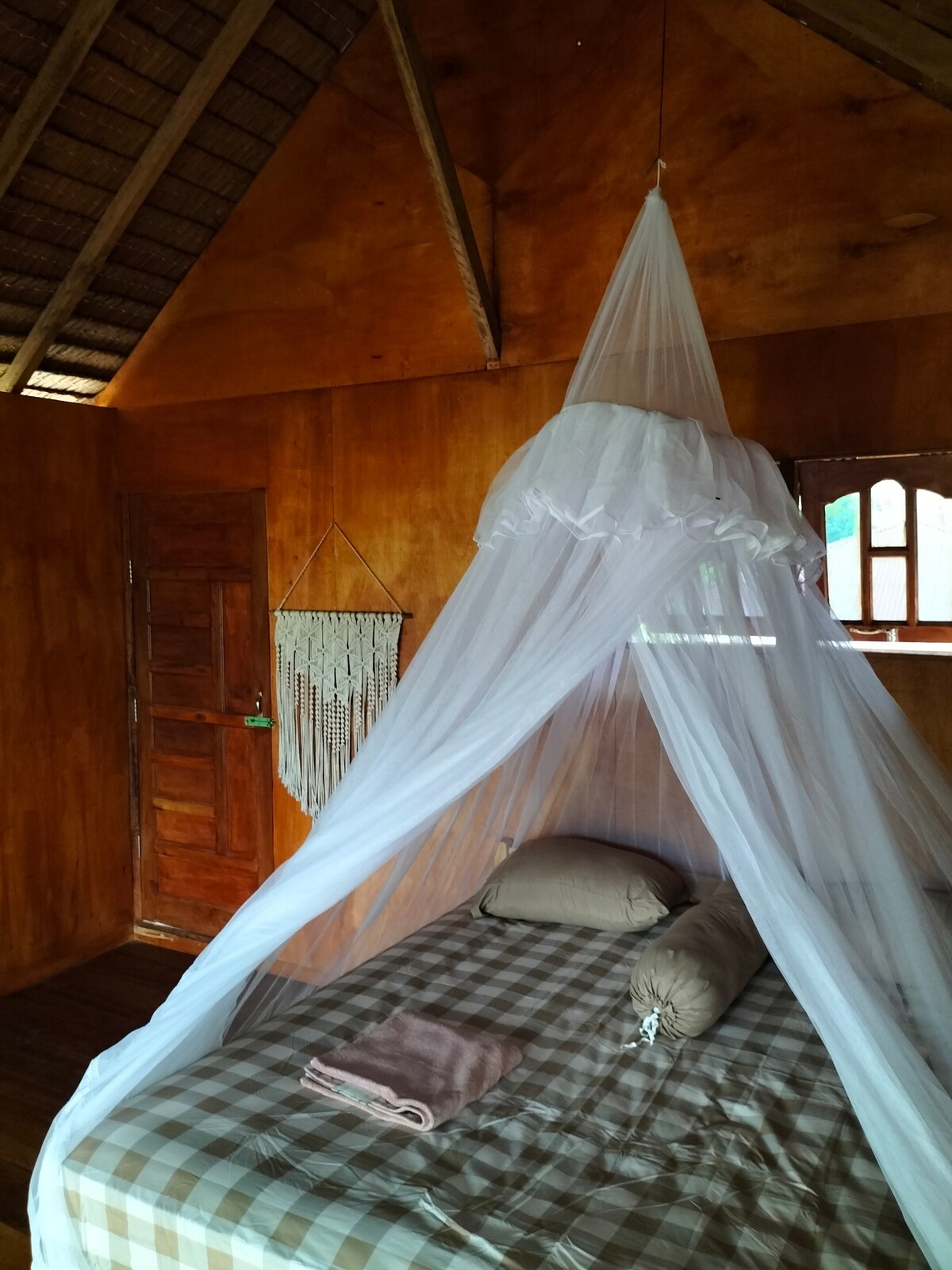 Cosy hornbill nest hideaway