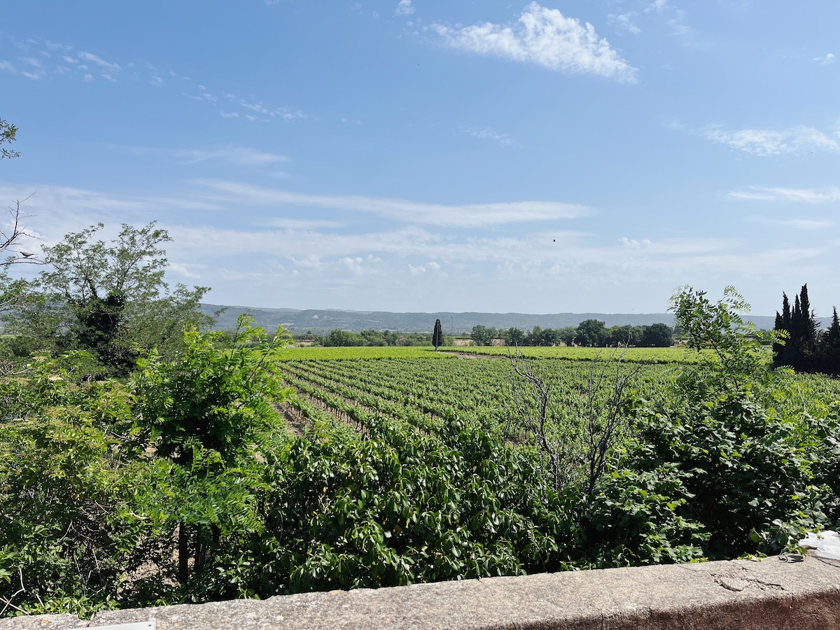 private apartment overlooking vineyards