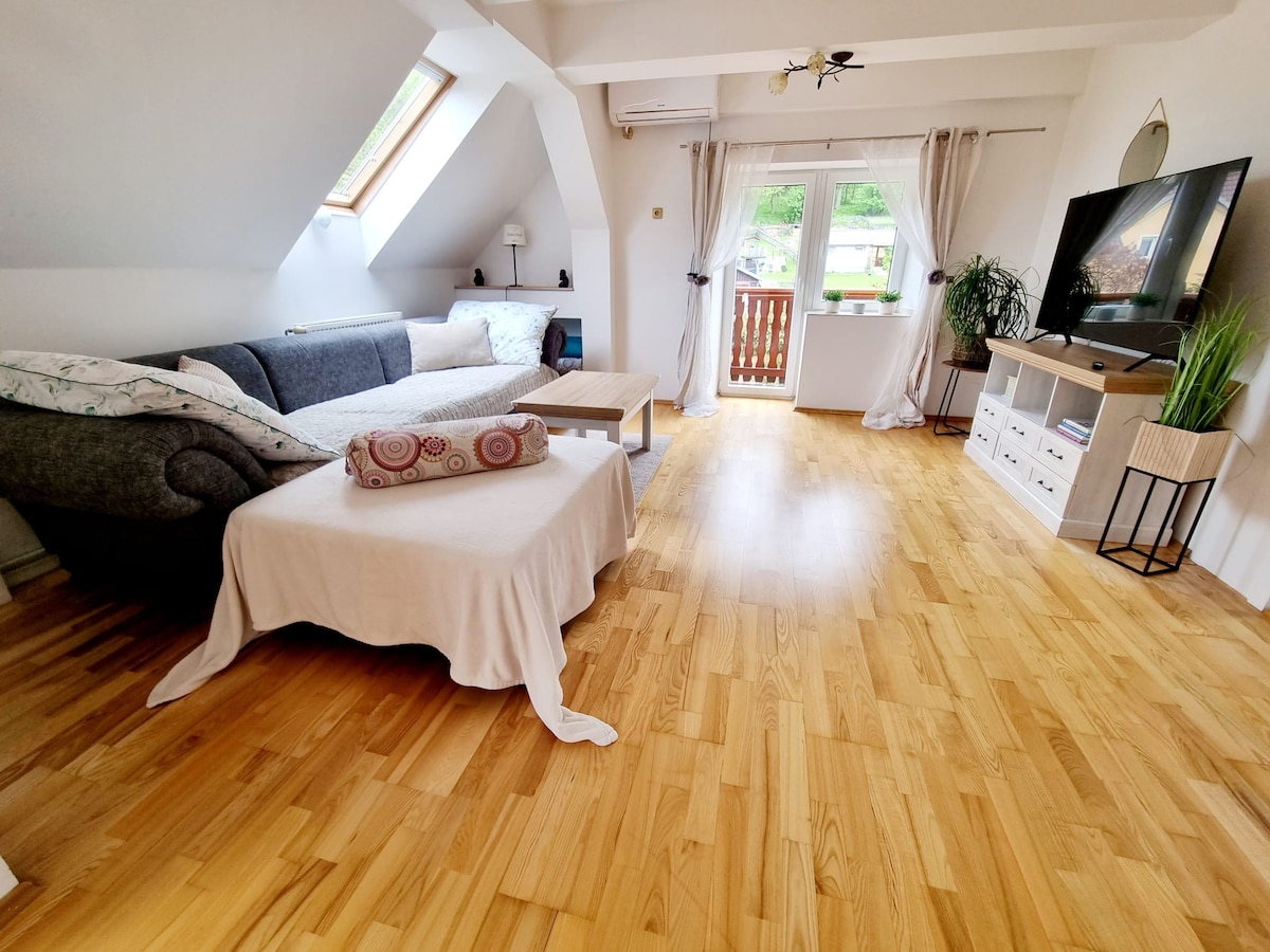 Podkrovní apartmán s kuchyní