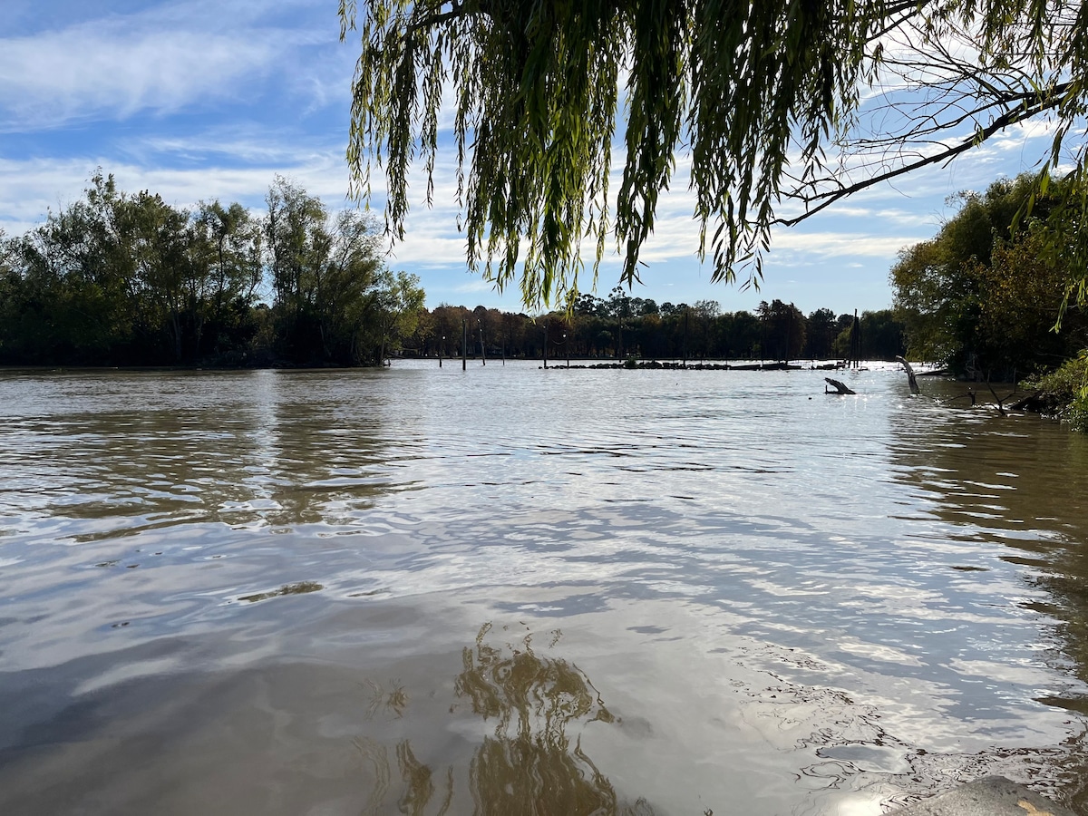 Cabaña Madreselva inmersa en el Delta del Tigre