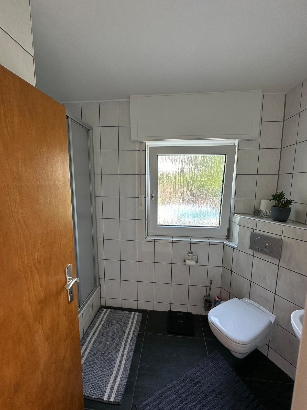 Quiet Apartment w. Yard/ minutes to Frankfurt City