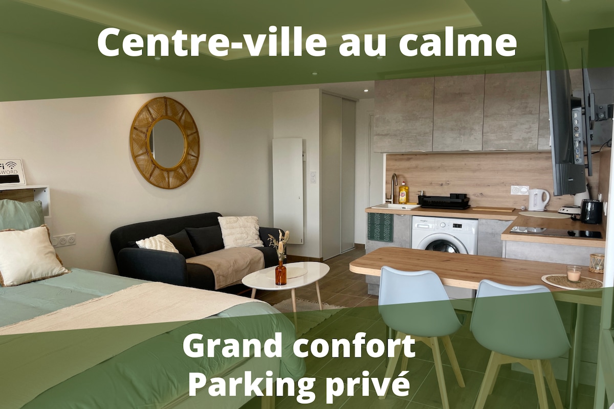 Centre-ville - Calme - Parking - Classé 3 étoiles