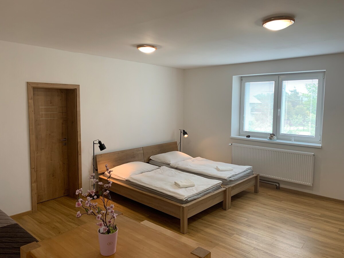 Apartmány Plzeň Bolevevec_ apartmán 3_