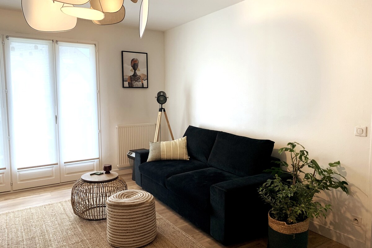 Cozy quiet apartment lac, river Aix les bains 3*