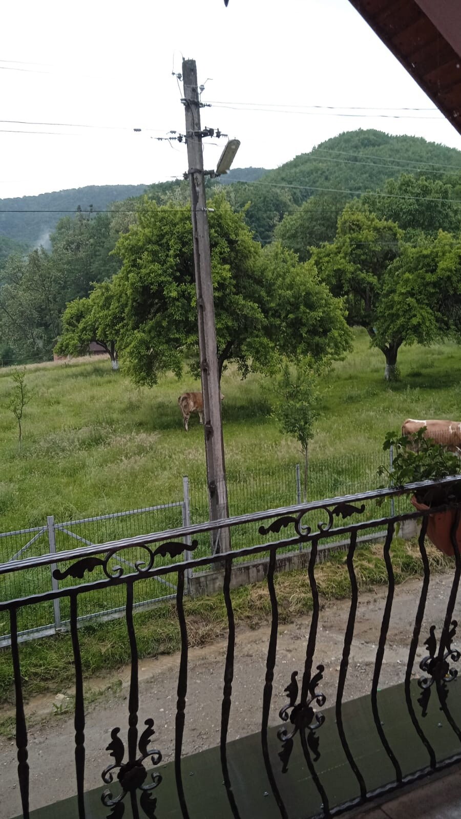 Casa de închiriat in Preoteasa