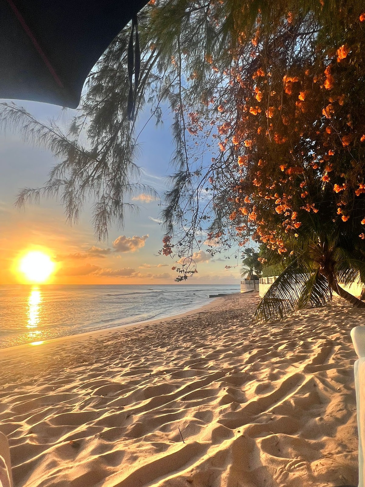 Beachfront cottage on Payne’s Bay, Sandy Lane