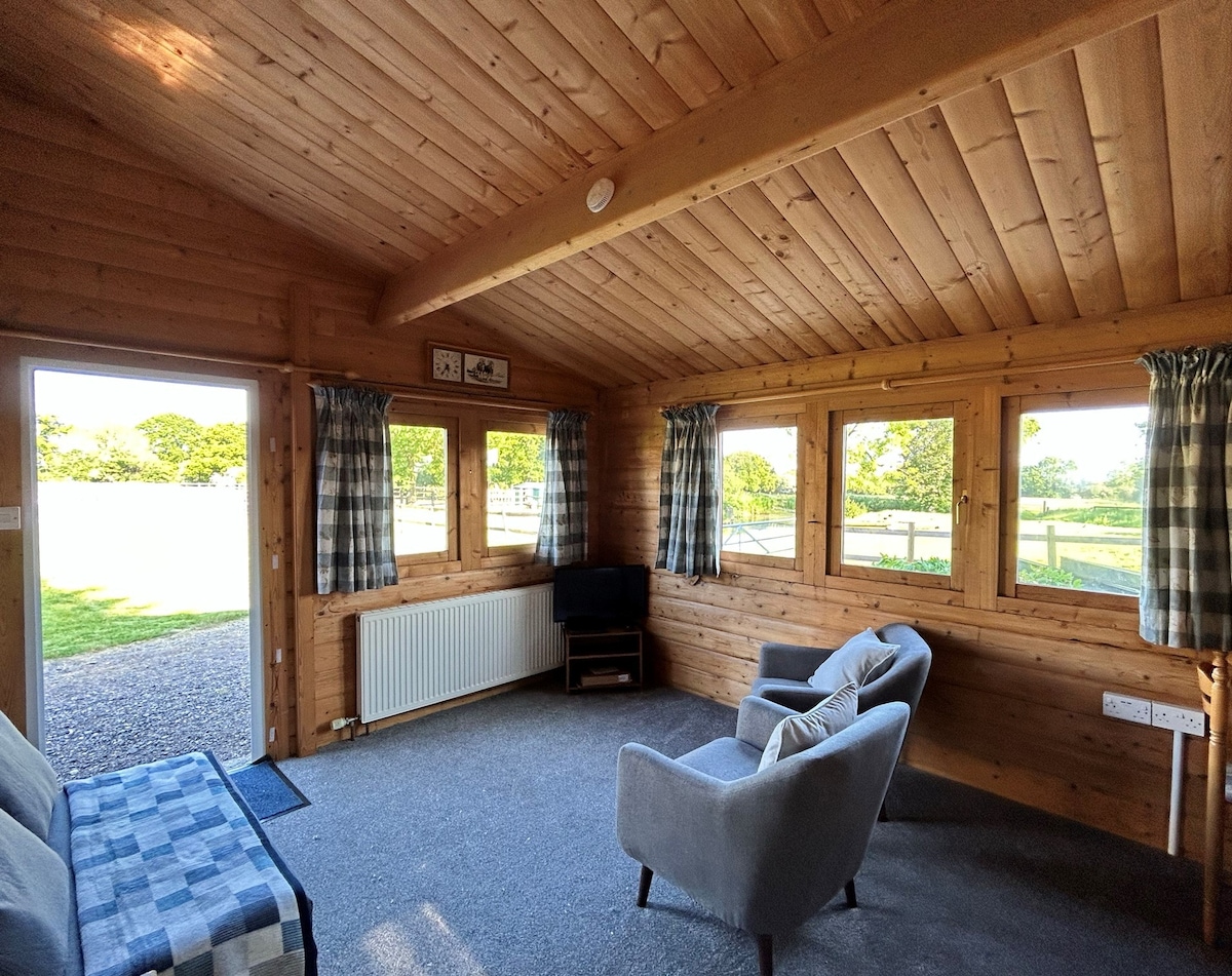 Log cabin with a view