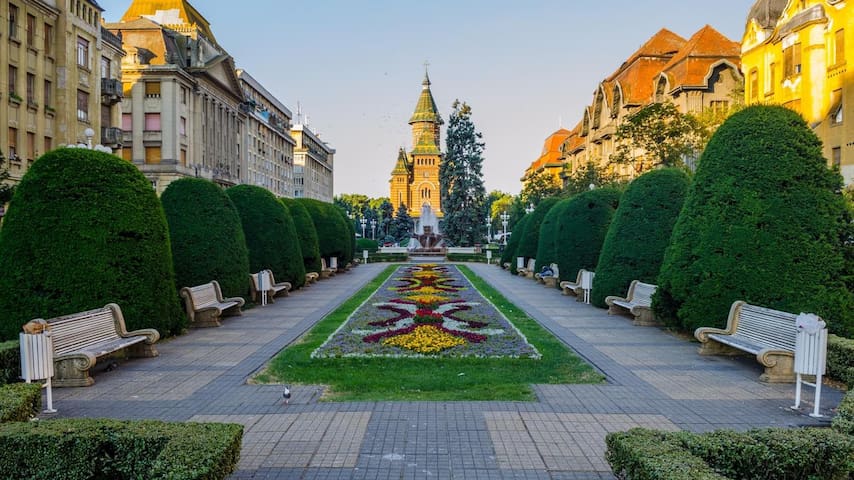 蒂米什瓦拉(Timișoara)的民宿