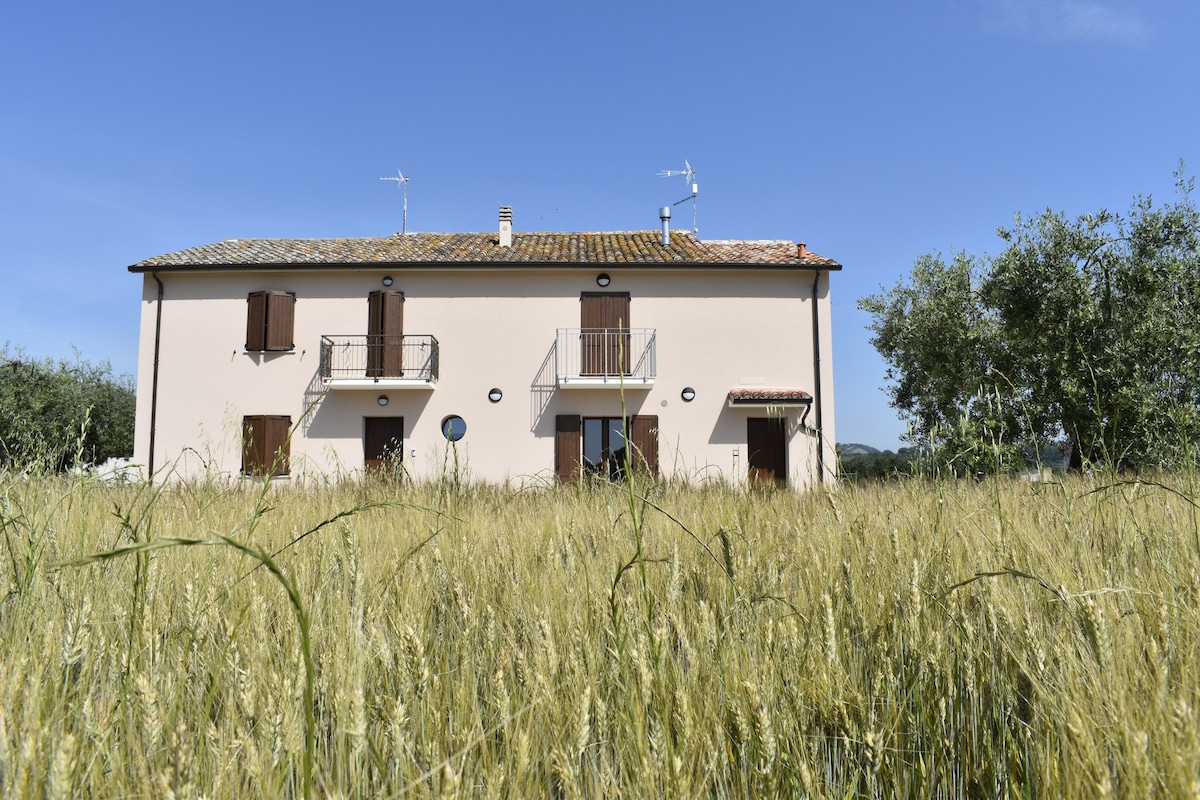 In Campagna, Tavernelle di Serrungarina