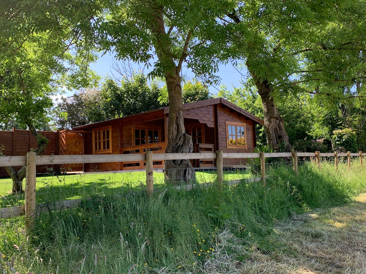 Cosy Cabin with valley views & pool