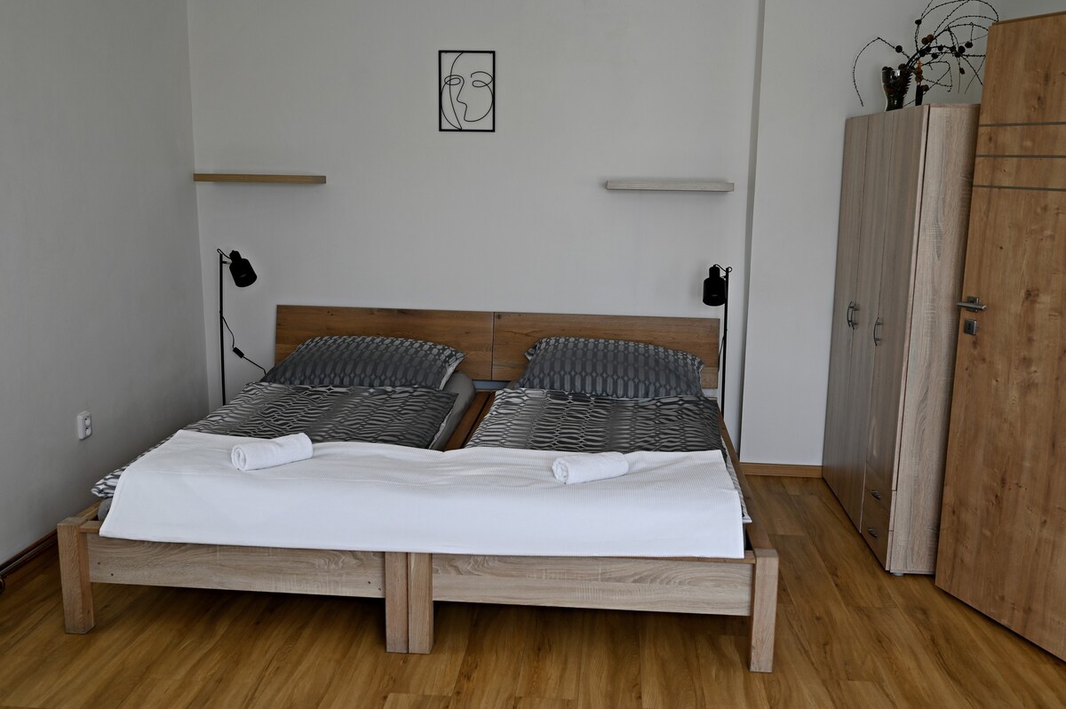 Apartments Plzeż Bolevec u lesa 1