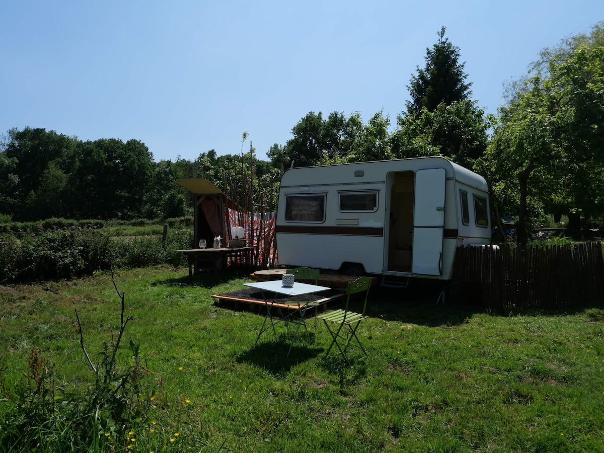 Caravane sous les pommiers