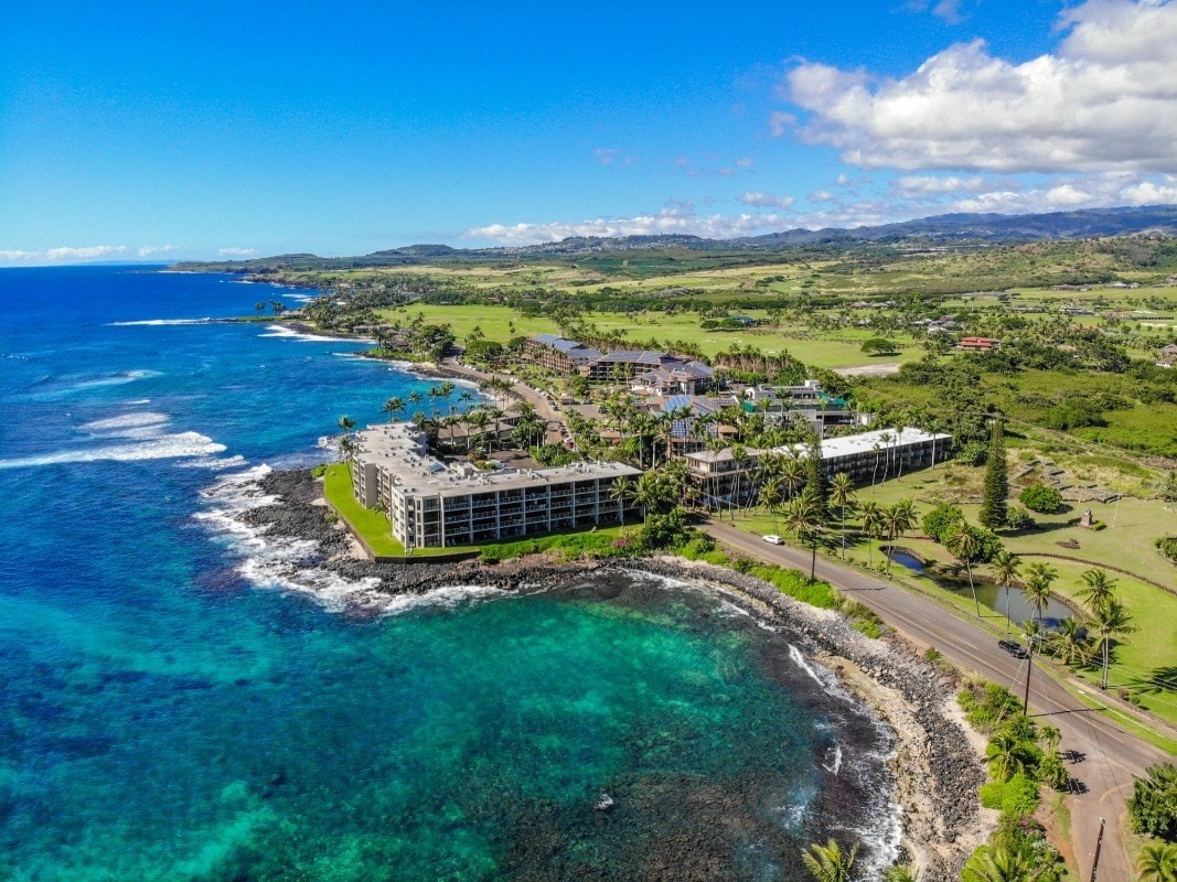 Tropical Oceanside Oasis