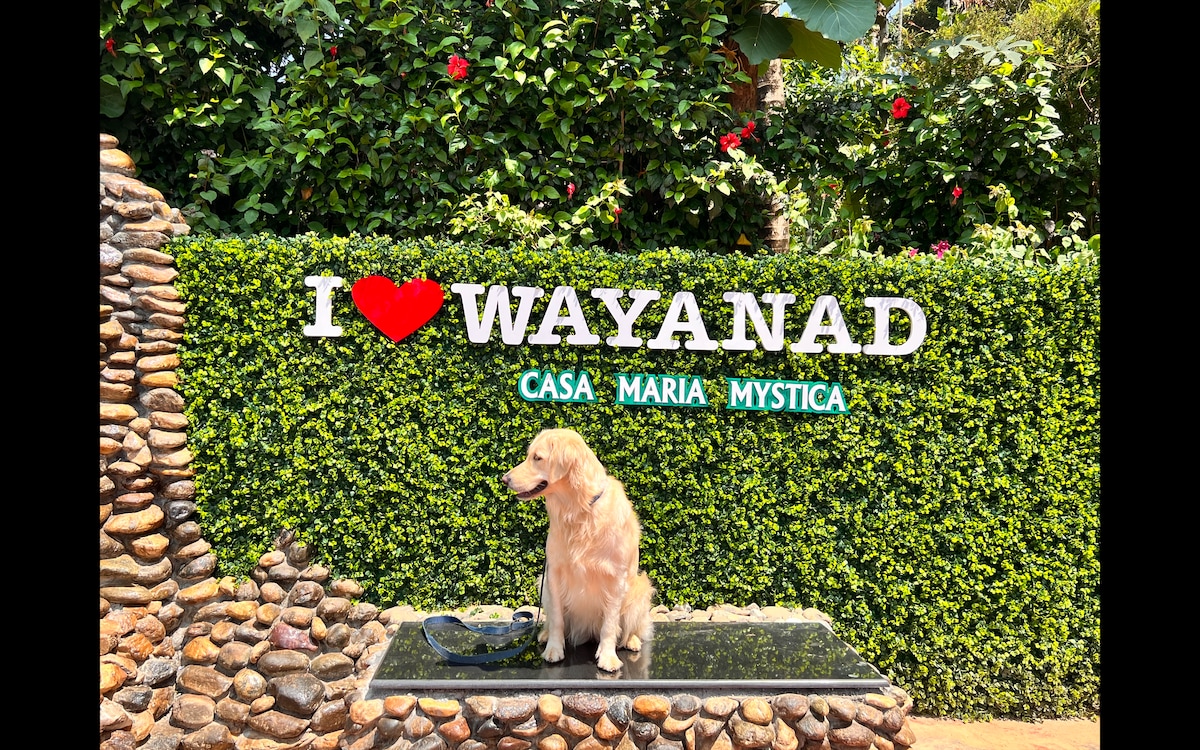 Wayanad最好的度假小屋