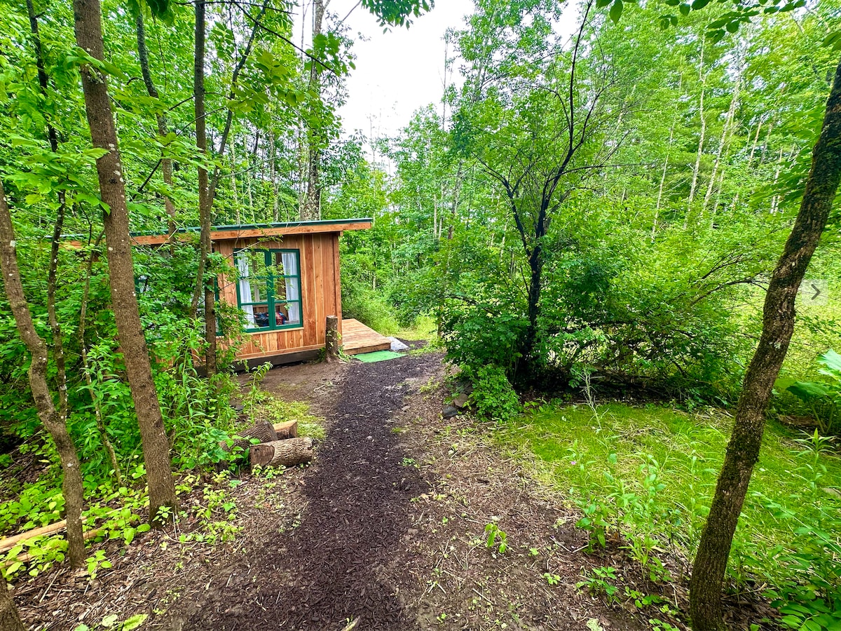 Majestic Waterfall & Tiny Forest Cabin