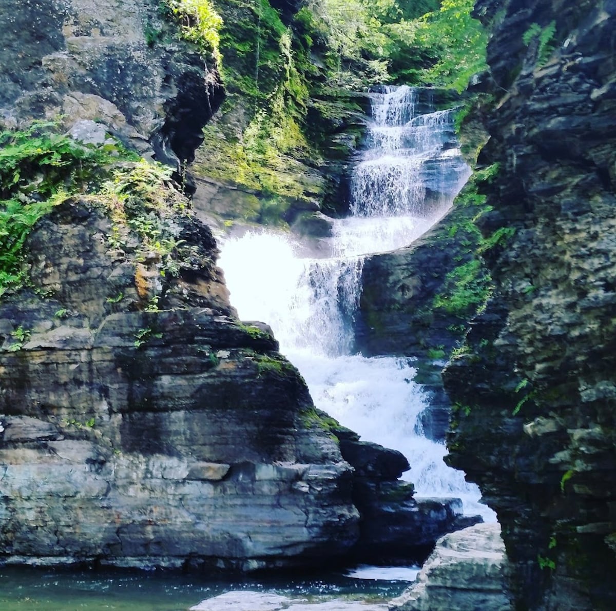 Majestic Waterfall & Tiny Forest Cabin