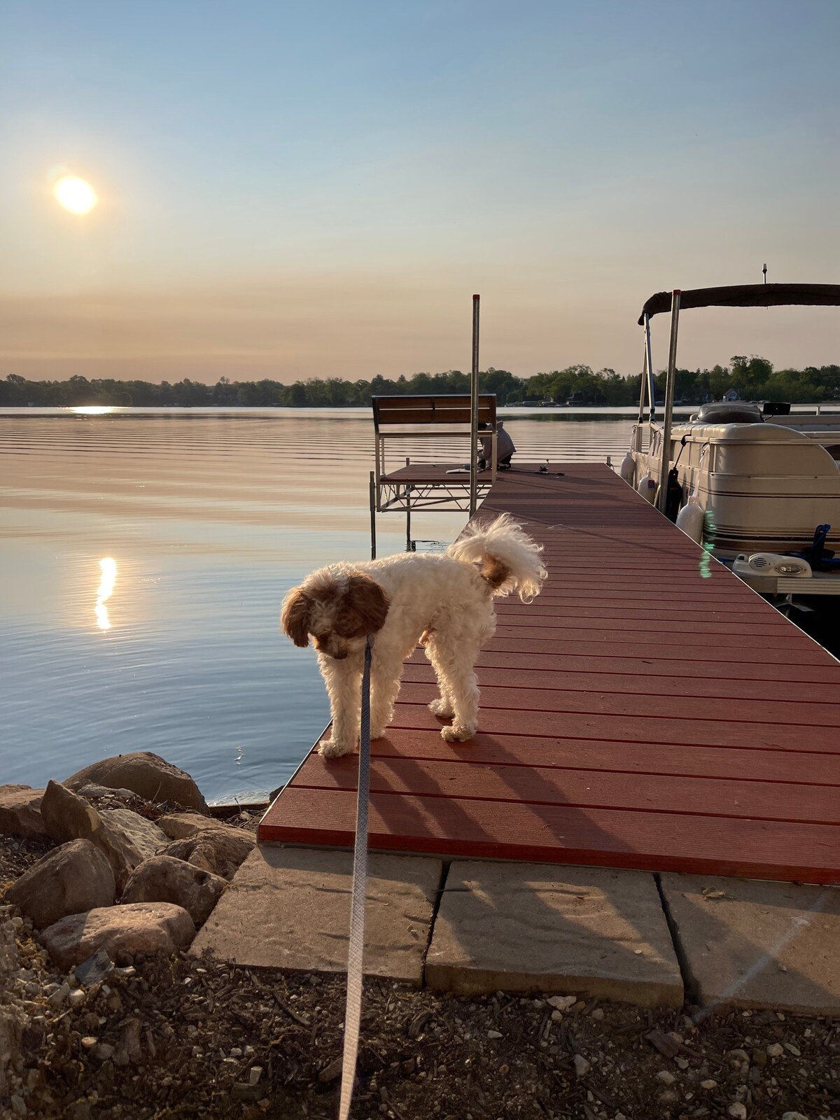 Wow! Beautiful Lake Cottage Pontoon Boat&Fire Pit