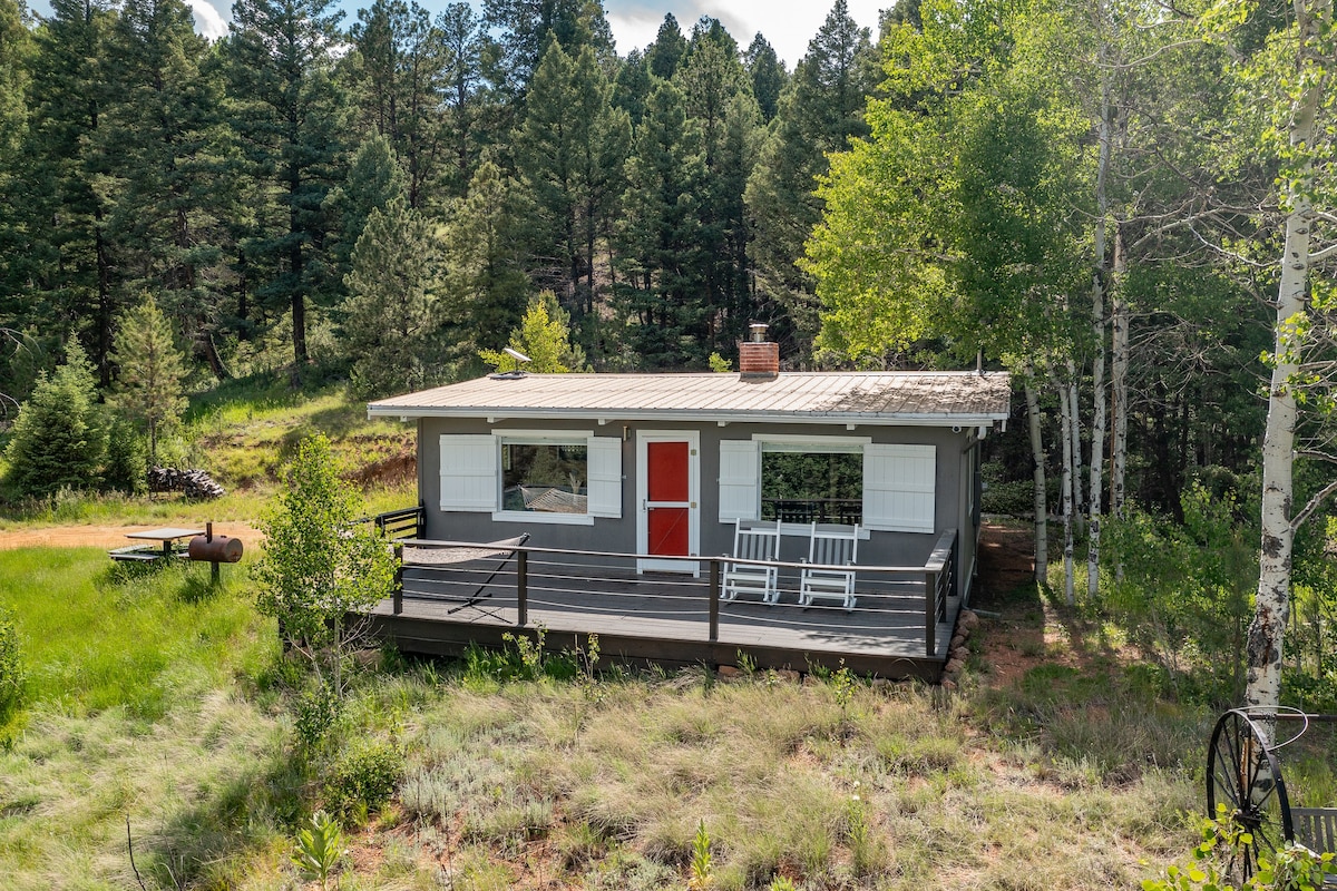 Cozy cabin in Pike National Forest