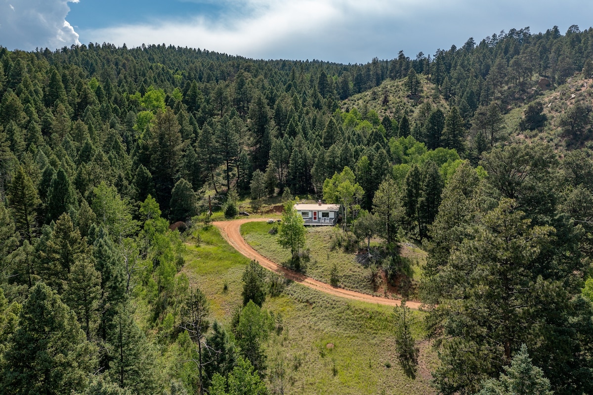 Cozy cabin in Pike National Forest