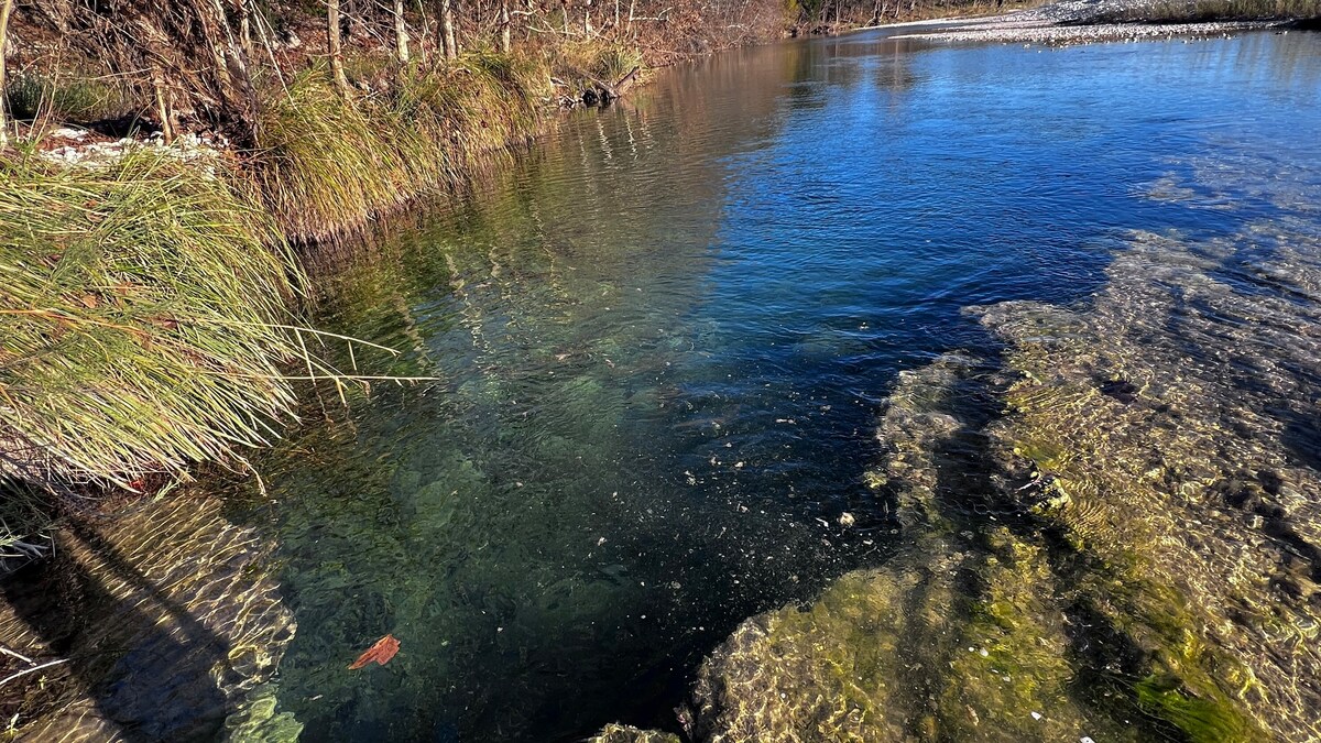 Secluded Private Getaway on the Nueces River!