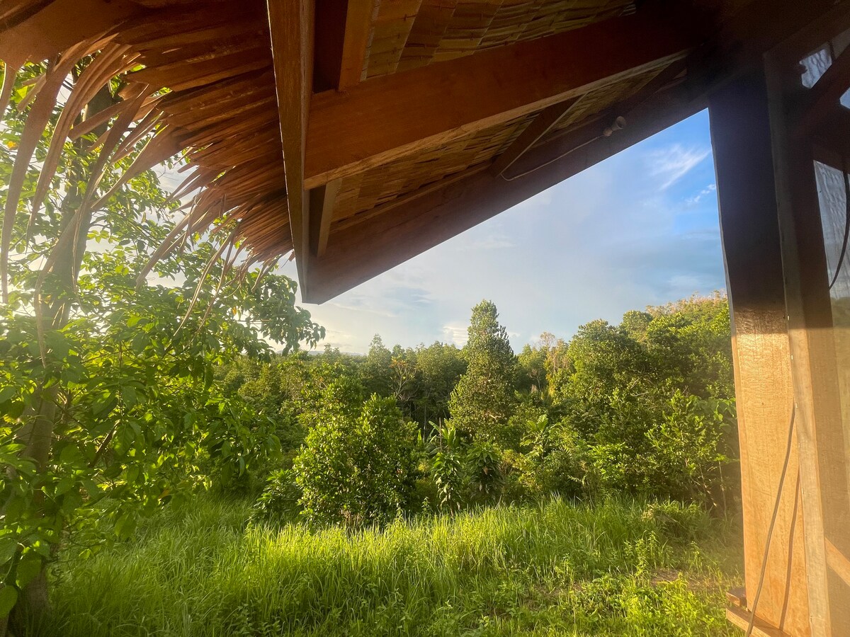 Our wooden house in the jungle