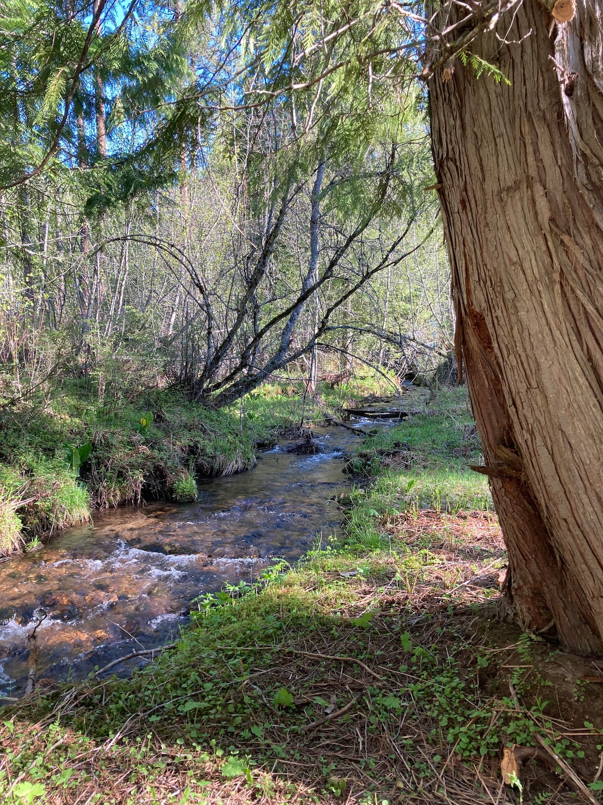 Stream side Glamping