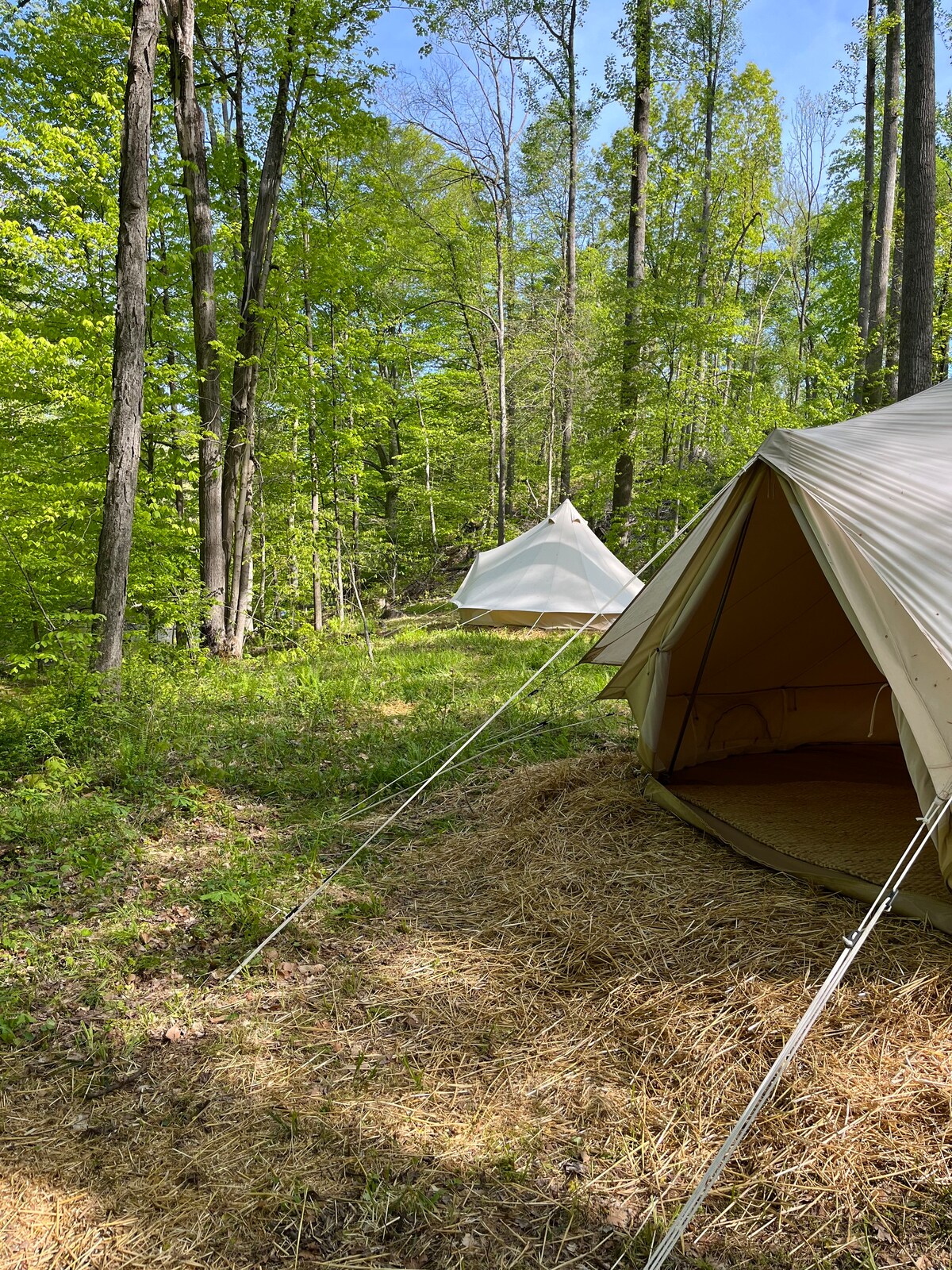 16' Semi-private Luxury Tent (#2)