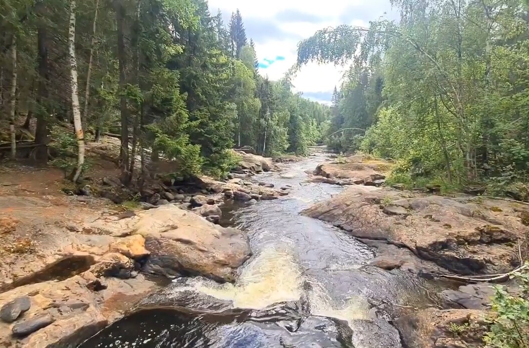 Lantligt boende på gård med grönsaksodling