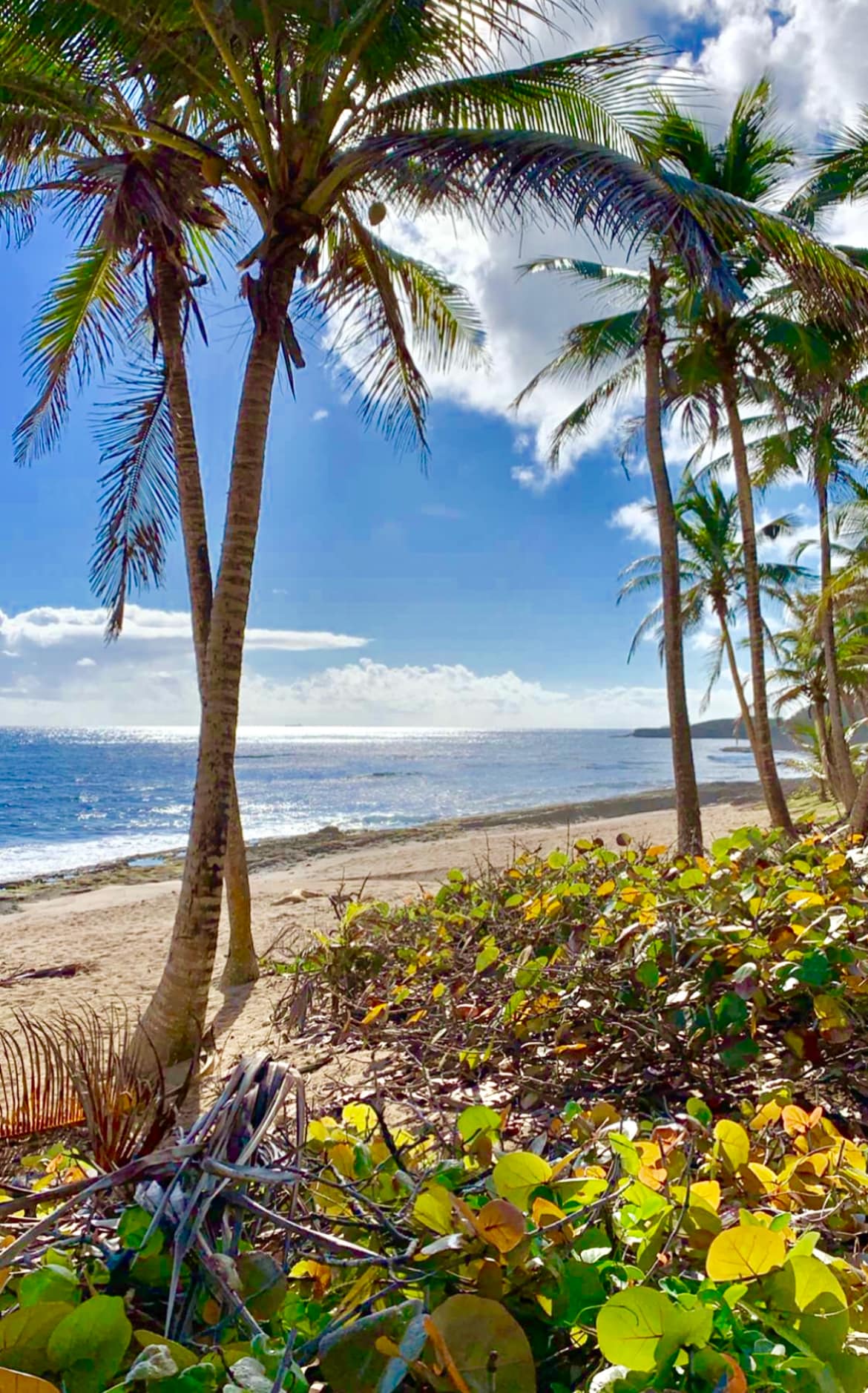 Ocean Views!  Coastline & Mntn View Home in Dorado