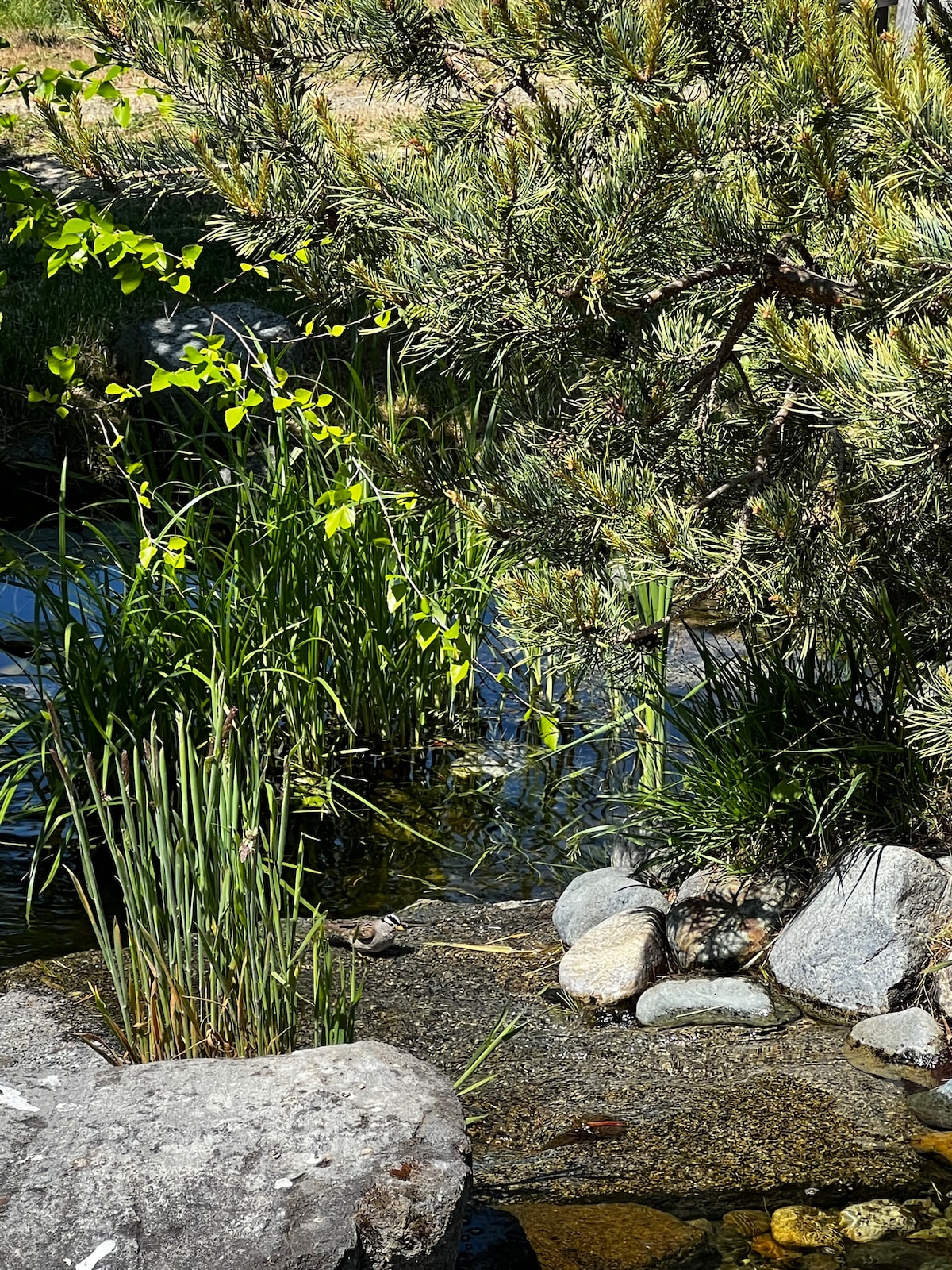 Hobbit Hut @ Blossom Valley Farm