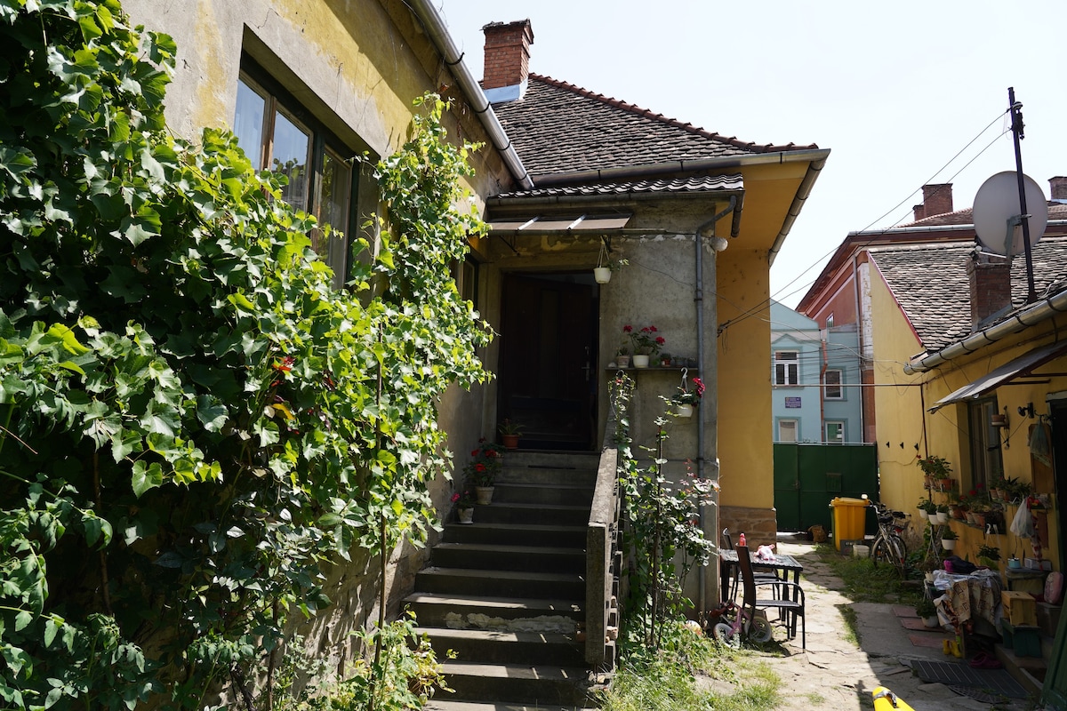 Auntie's House in Sighisoara