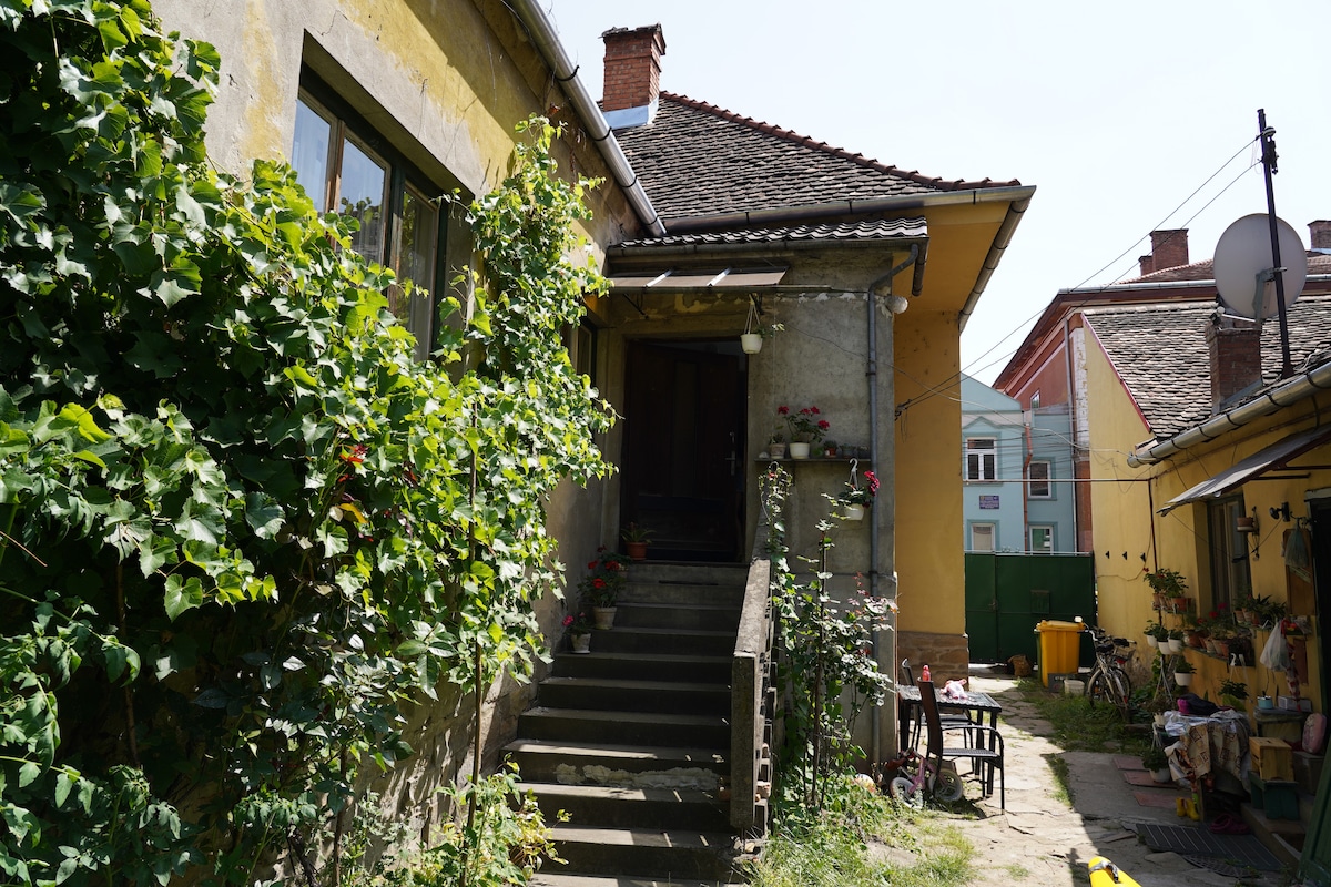 Auntie's House in Sighisoara